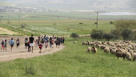 שביל בני שמעון (2).JPG